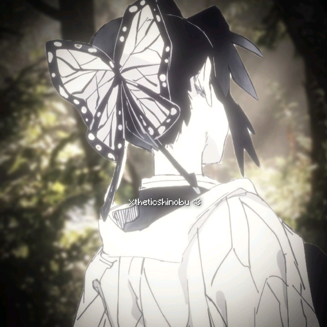 xtheticshinobu ♡ 