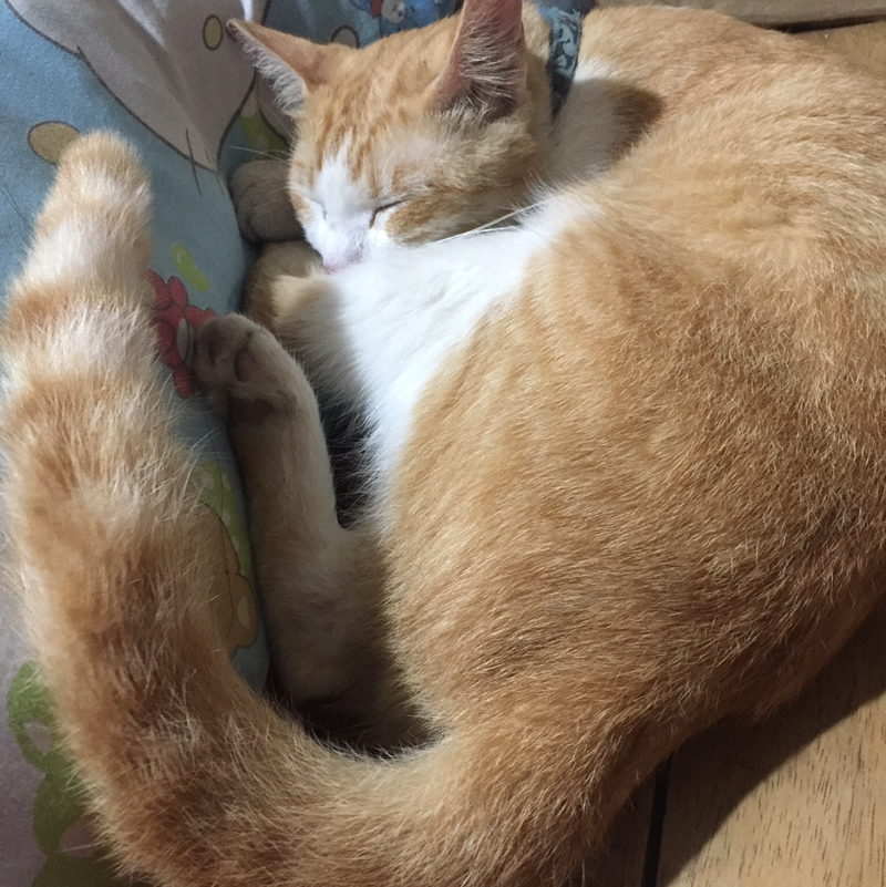 Rhena Pepito
