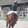 Val_Equestrian✨