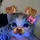 nounna