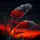 Hkunzarack528#