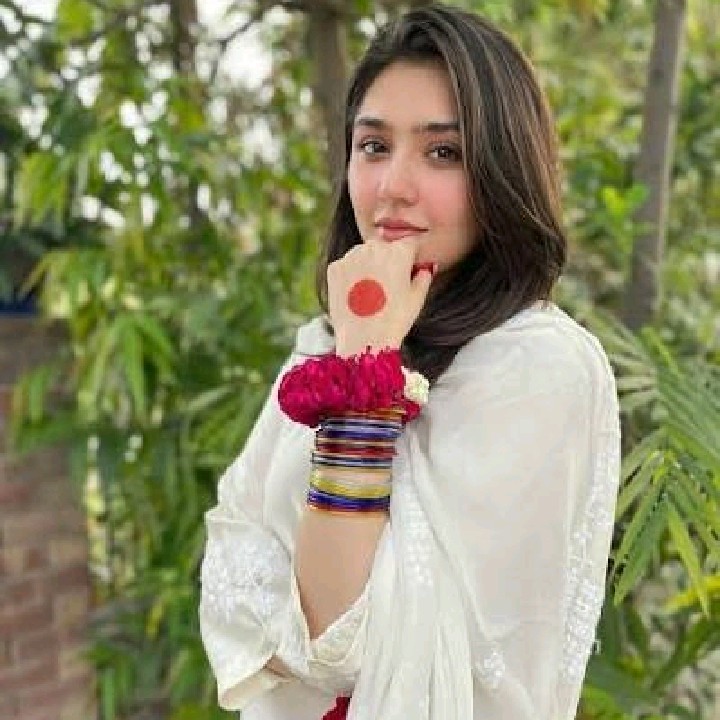 Laraib Sattar