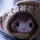 mei⋆.𐙚 ̊