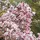 ˃ʍ˂𝓶𝓪𝓻𝓽𝓾𝓷𝓲𝓪˃ʍ˂