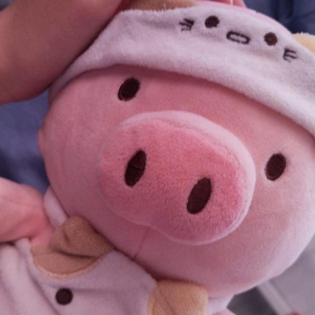 Piggy [AR]