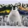 OGDWAYNEDaPenguin🐧🤽‍♂️🇦🇺