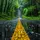 Travels in the world