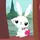 bunny
