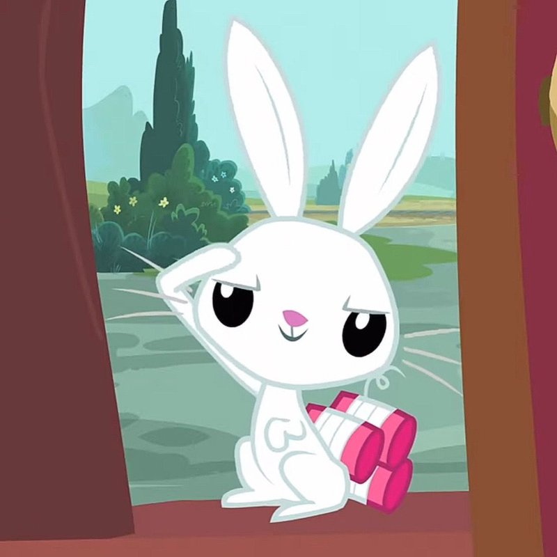 bunny