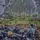 Arisky_Az