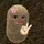 nyVin [LDR]