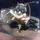bK anime wz