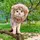 I Like Cats ™[AGE]