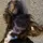 SAFFY136
