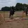 maja_equestrian