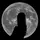 🫐🌑moon🌑🫐