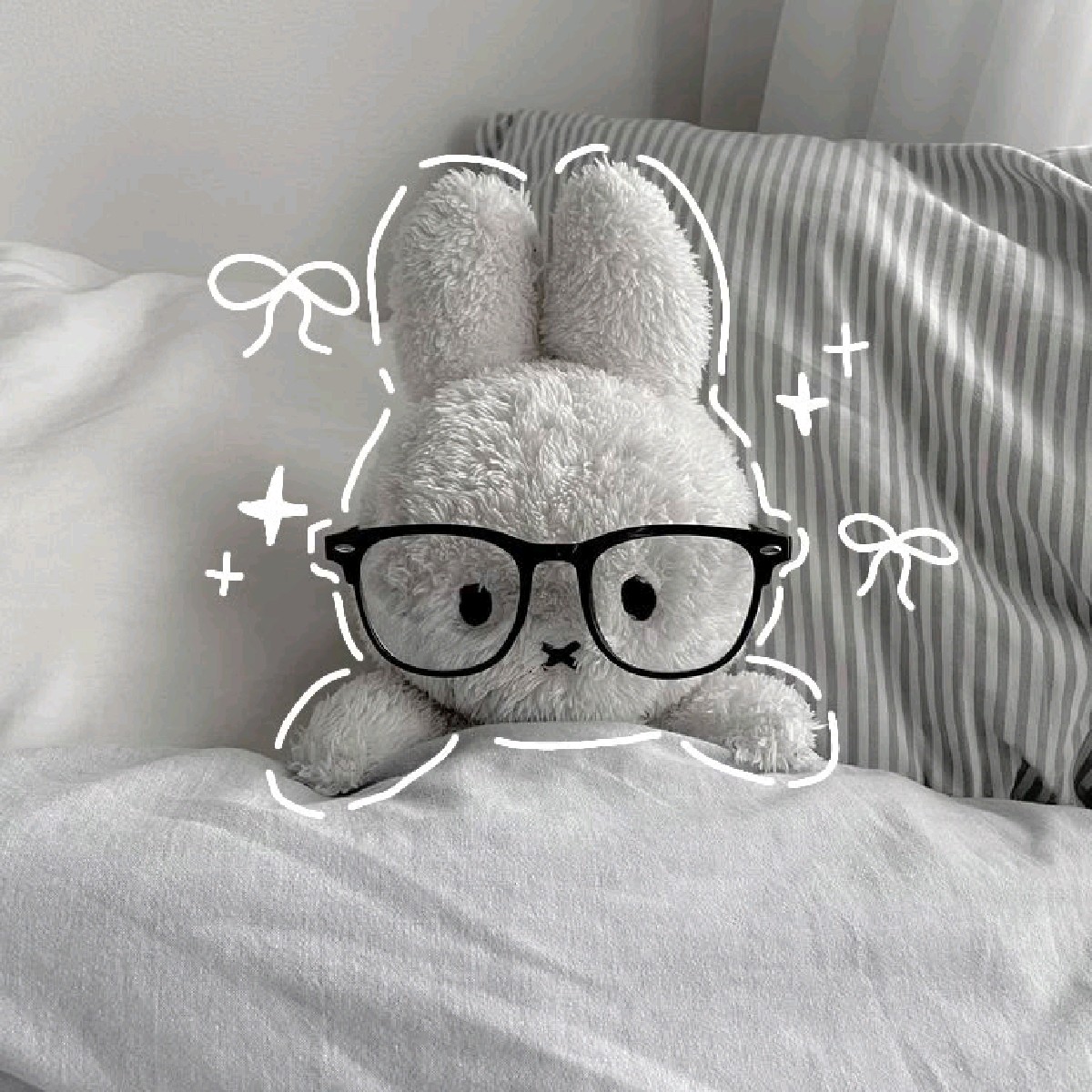 Pasiny