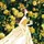 Tuyền Tiu🌻[CT]