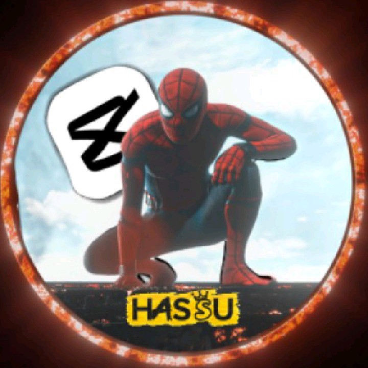 𝐇𝐀𝐒𝐒𝐔 ☆