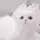 暇 人 。 