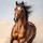 Horse_Lover0002