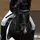 Gallop.eq