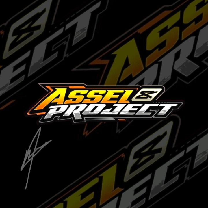AsselProject🤙