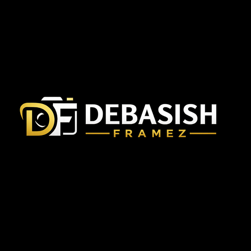 DEBASISH FRAMEZ