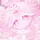 Venyy ⋆˚ 𝜗𝜚˚⋆ 