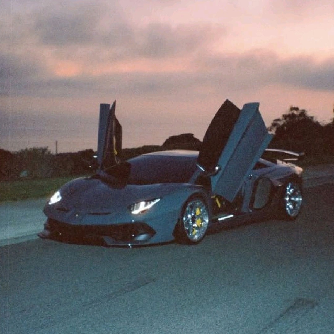𝑳𝑿𝑪𝑨𝑹𝑺