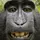 CLAR_LYRICS