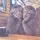 violetta&nad