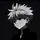 iyan template 