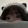ASMR8806