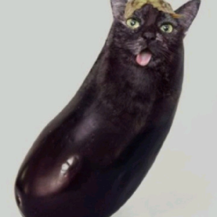 e. 