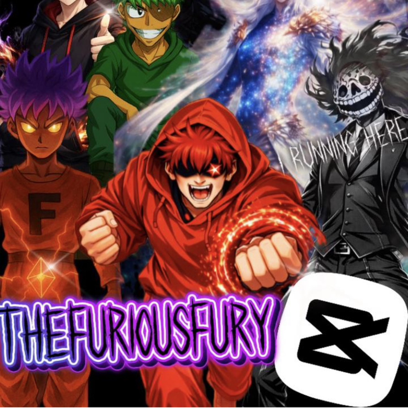 TheFuriousFury