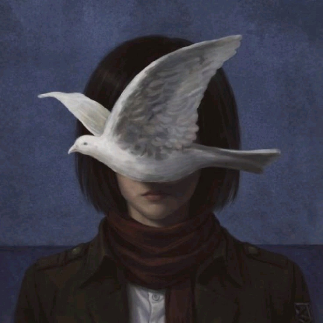 Mikasa [HD]