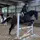 Mystery_EQ🐴