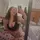 Kels81295