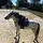 Chloé_Bibou😋🐴🥰😝