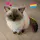 🏳️‍🌈🪫ace🪫🏳️‍🌈
