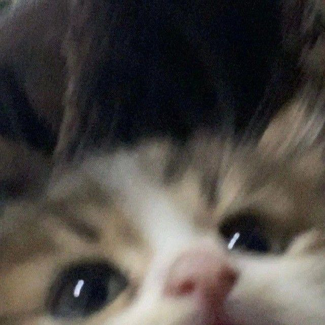 D F A 