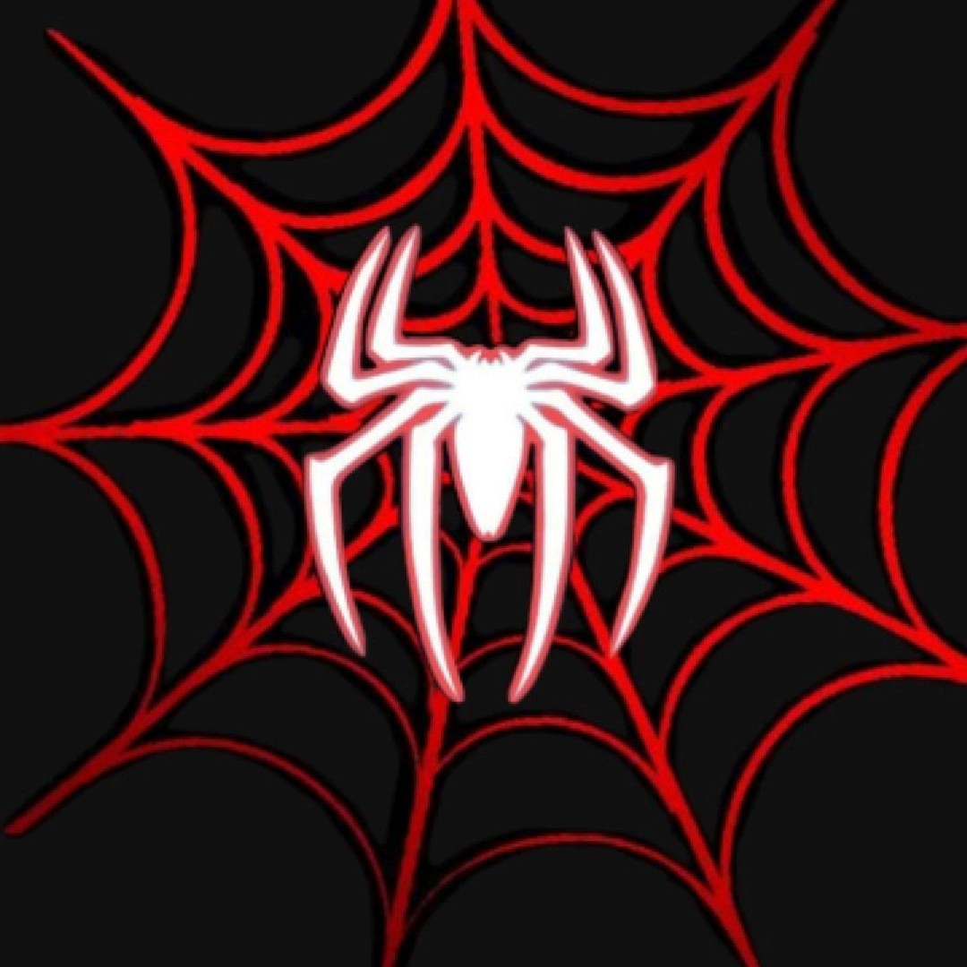 SPIDER-MAN🕸️🕷️