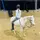 Ember.equrestrian