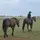 Chlo and the ponies