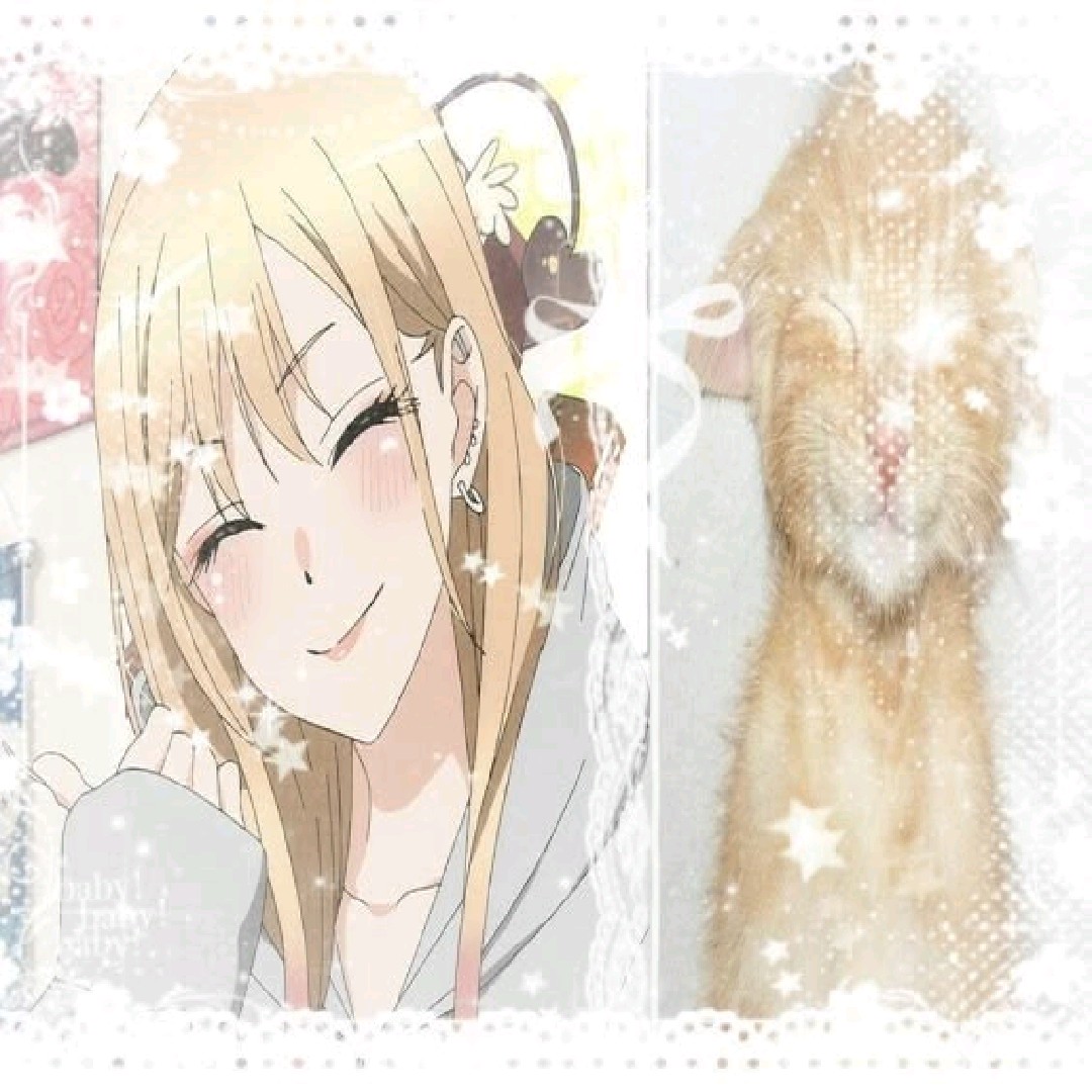 ⋆˚𝜗𝜚˚⋆arie -comp!