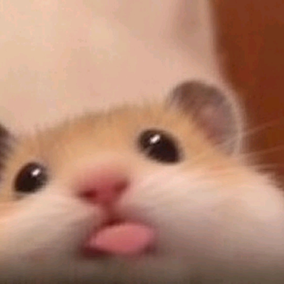 ₘₒₜᵢₒₙ