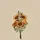 Sera
