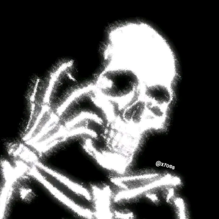 𝙓𝙍𝙊𝙎𝙎𝙀𝘿𝙄𝙏𝙕