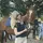Equestrian P4r4dice
